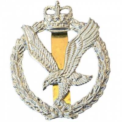 SALE! Army Air Corps Beret Cap Badge AAC British Military Issued Insignia