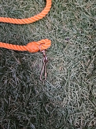 22085403731764414683