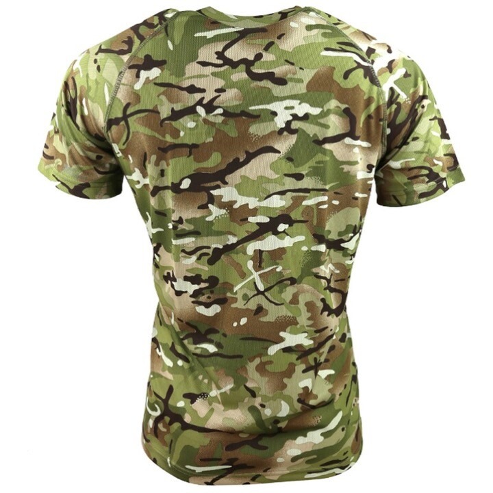 24882684591763887542