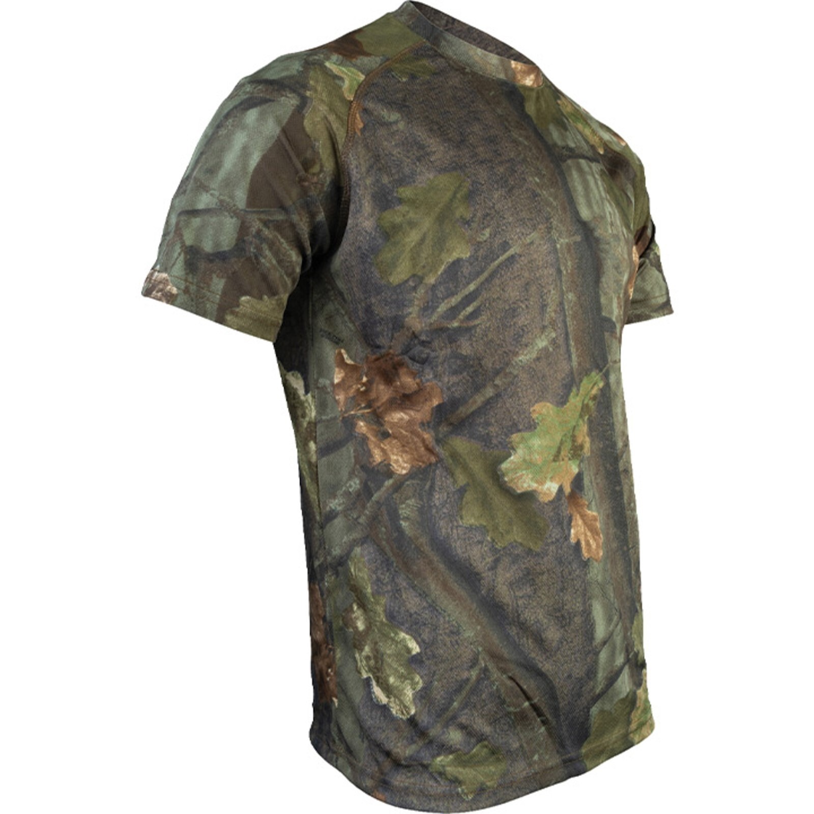 39009494481764524035