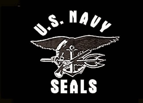 LARGE 5FT X 3FT US Navy Seals Flag USA American Military Sign Banner