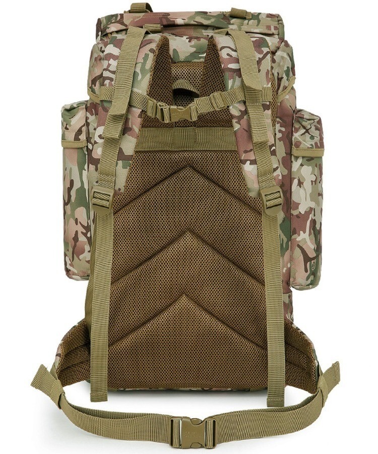 32204569831762621816