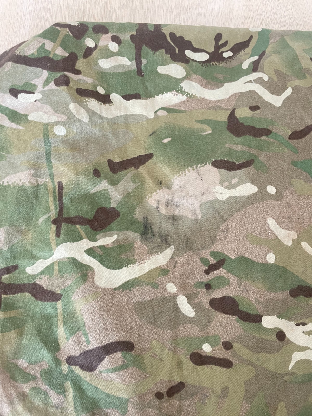 24308373311763910089