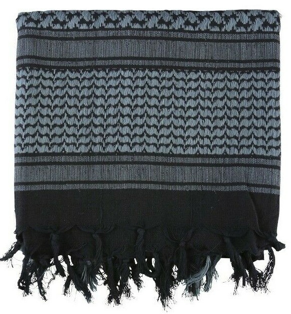 25094915431763988208