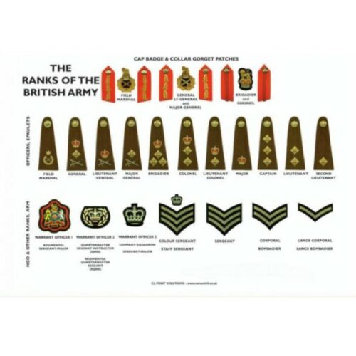 RANKS OF THE BRITISH ARMY MILITARY POSTER A4 A3 POSTER RECRUITS CADETS LEARNING