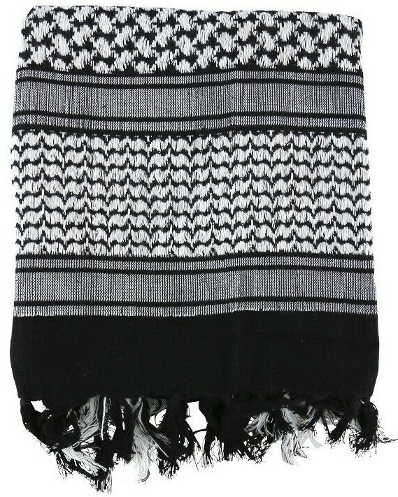 39203278271763988231