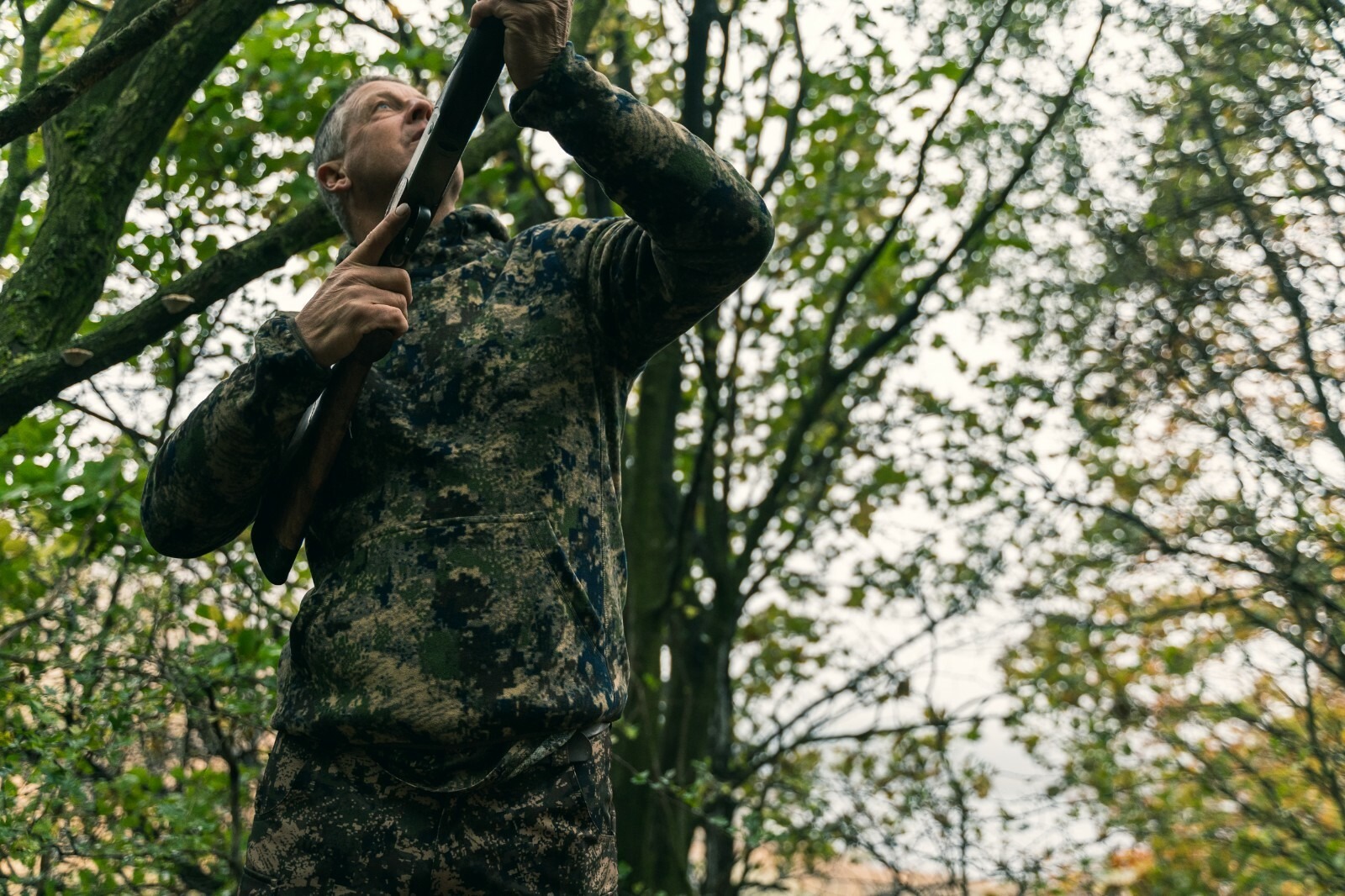 16414633461764076581