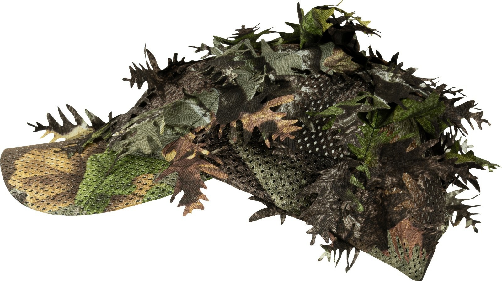 19747298051762611645