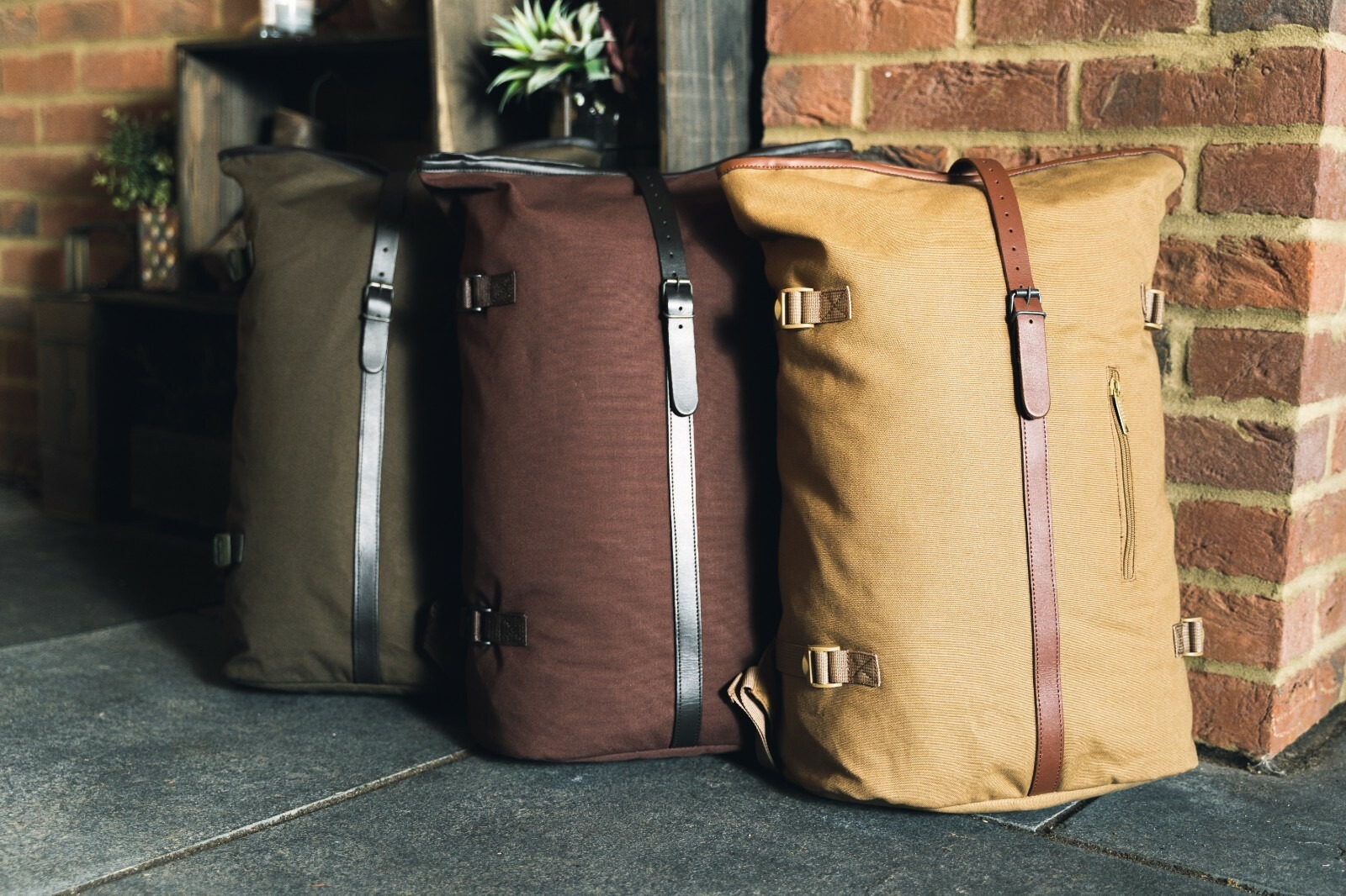 30500088451764187512