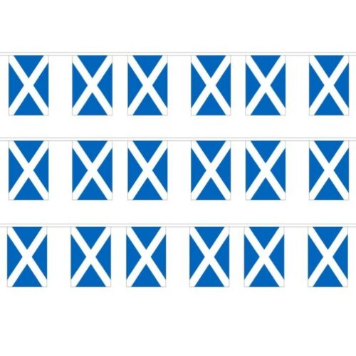 XL Scotland St Andrew's BUNTING 18m Polyester Scottish Football Decoration