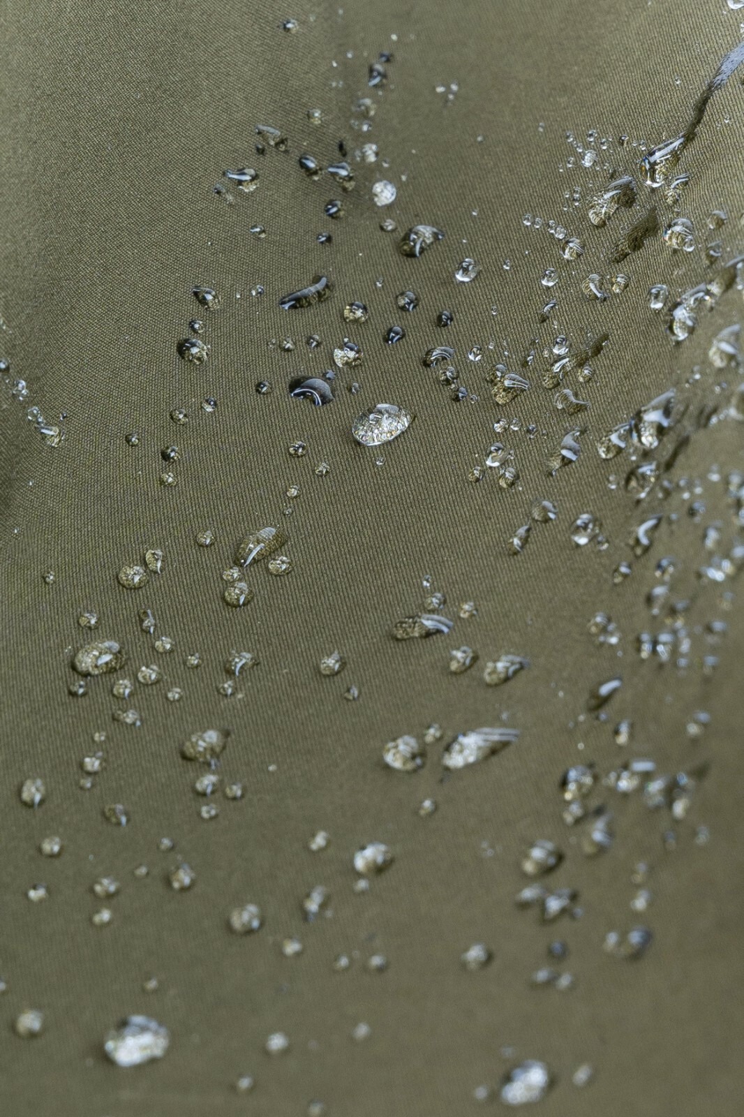 39439341881764245567