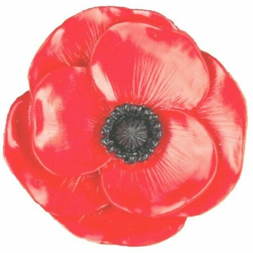 POPPY FRIDGE MAGNET HANDMADE RESIN GIFT ARMY REMEMBRANCE WW1 WW2 LEST WE FORGET