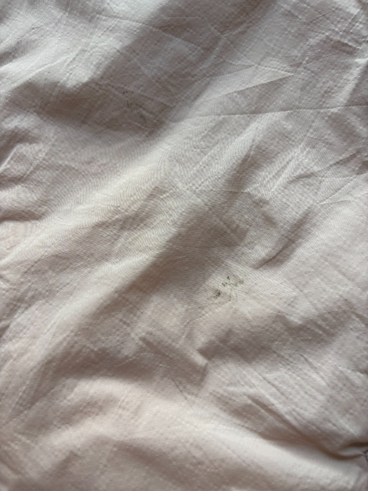 29578000181763911096