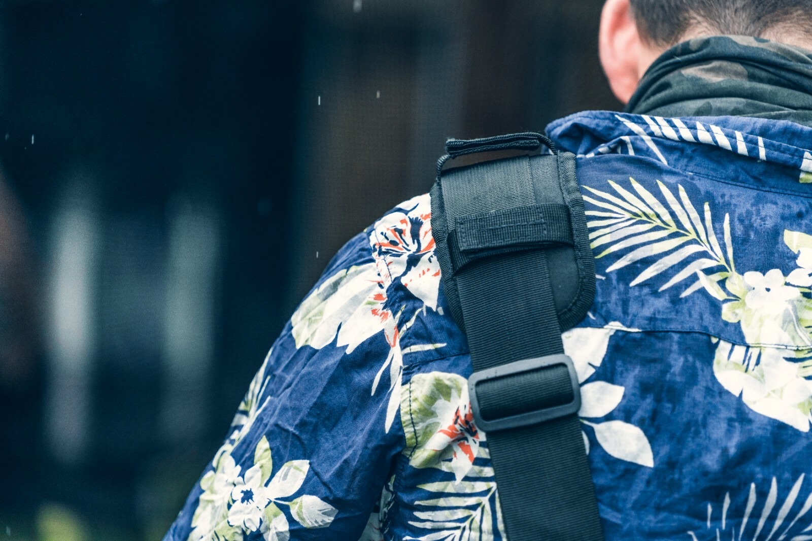 24886601601760602528