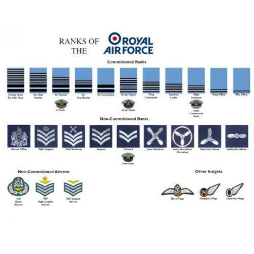 RANKS OF THE ROYAL AIR FORCE MILITARY RAF POSTER A3 POSTER RECRUITS CADETS