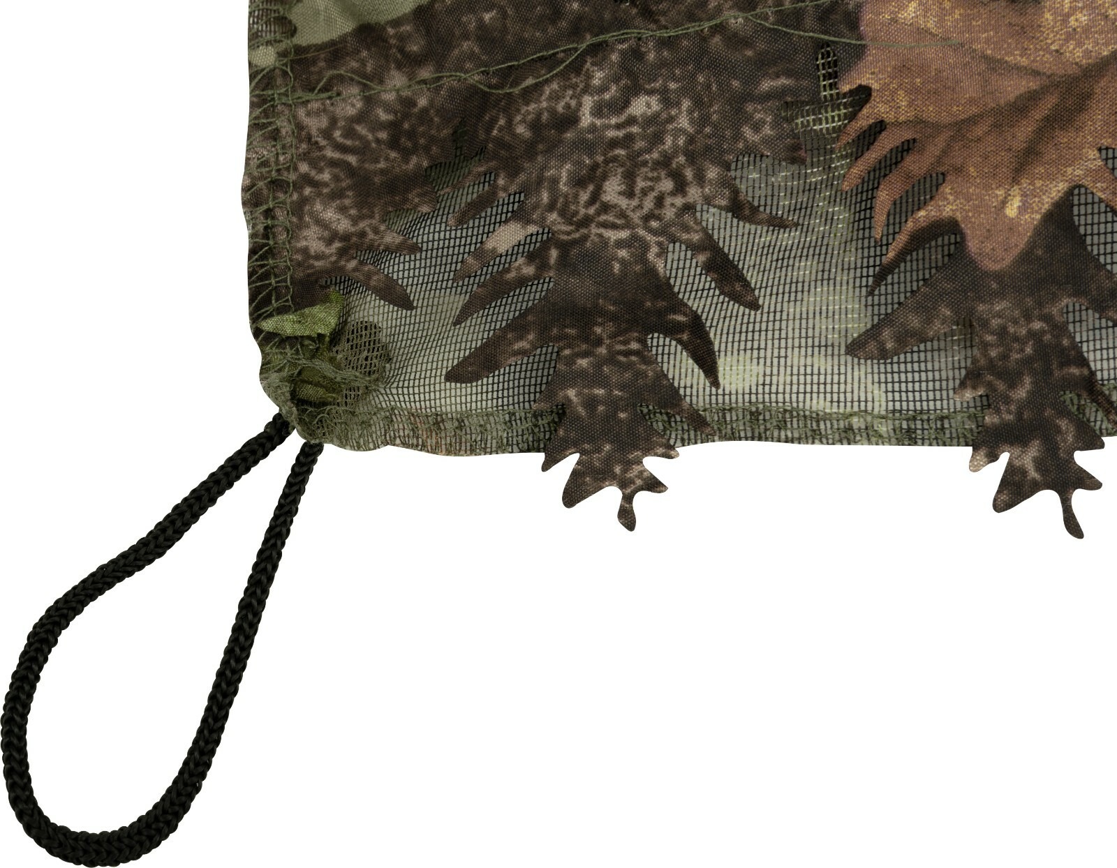 22430312081764281244