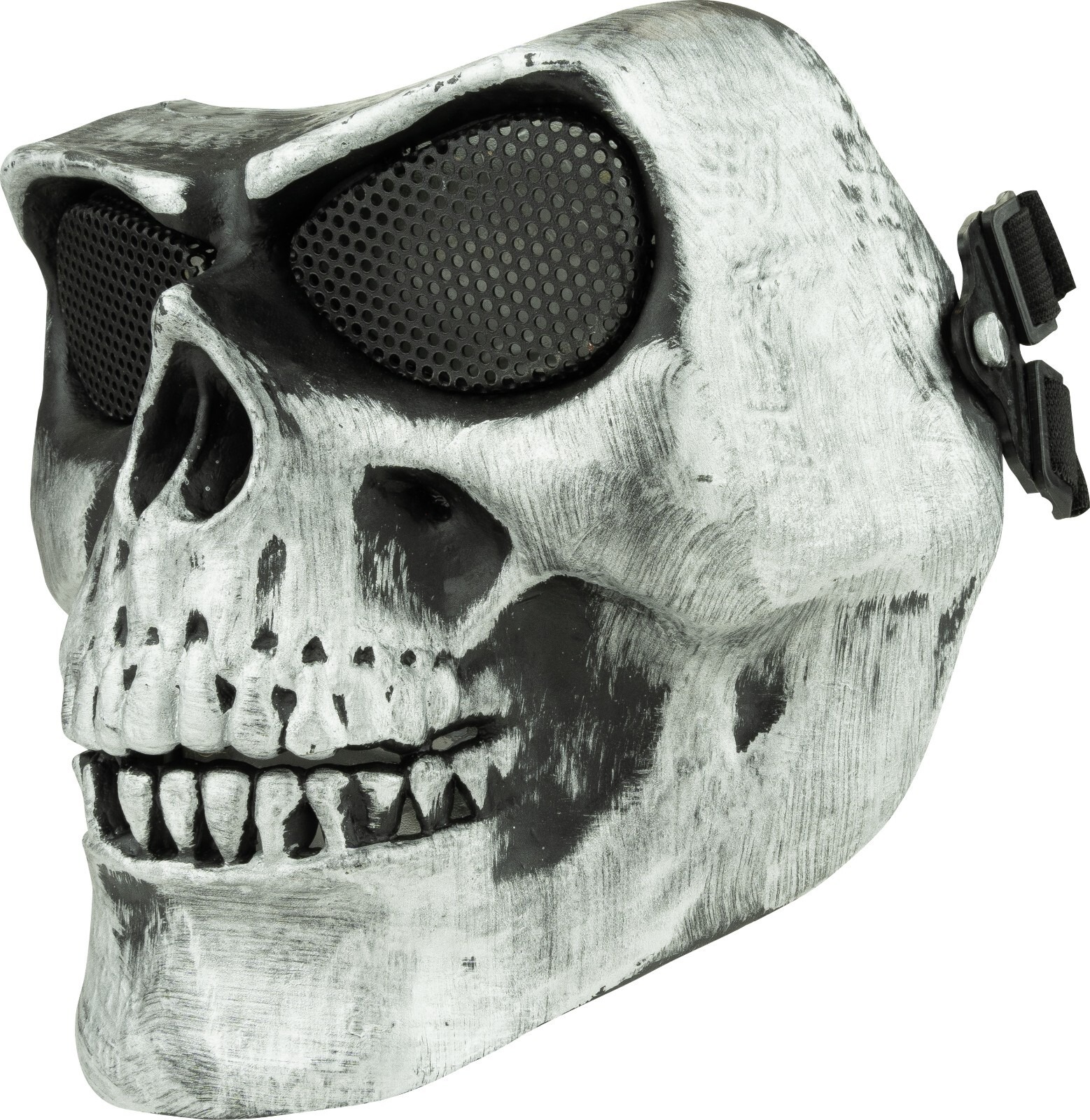 39491509751764848319