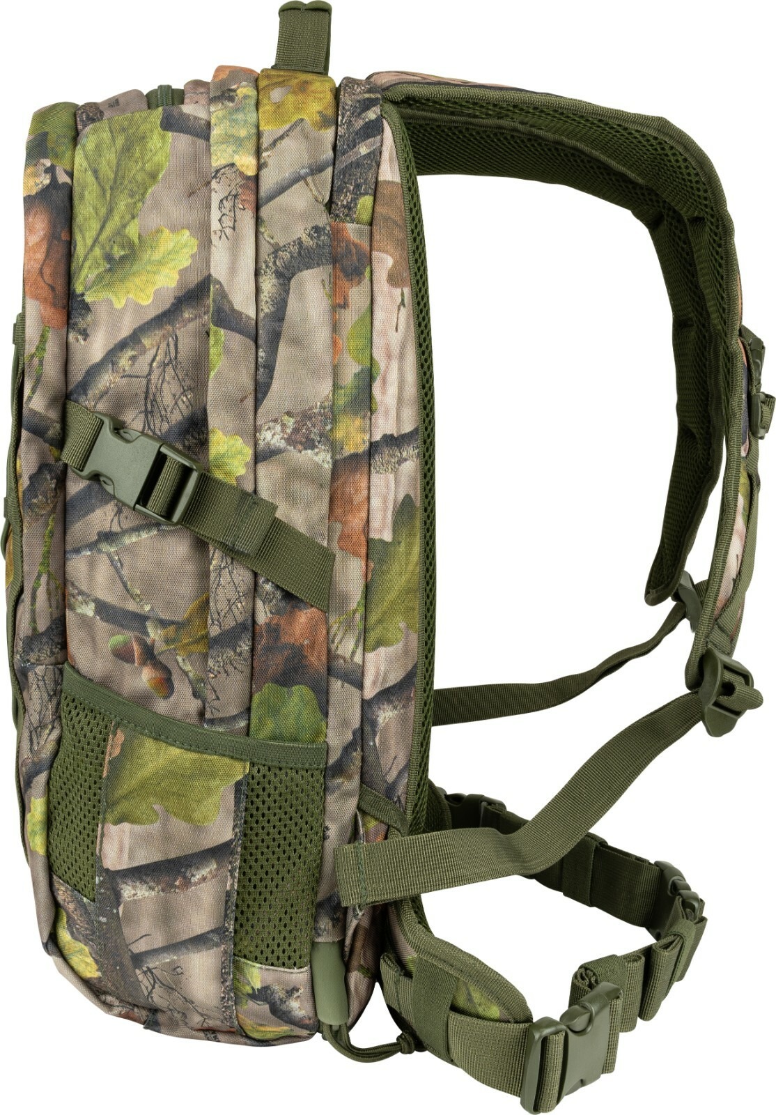 20018618721765279048