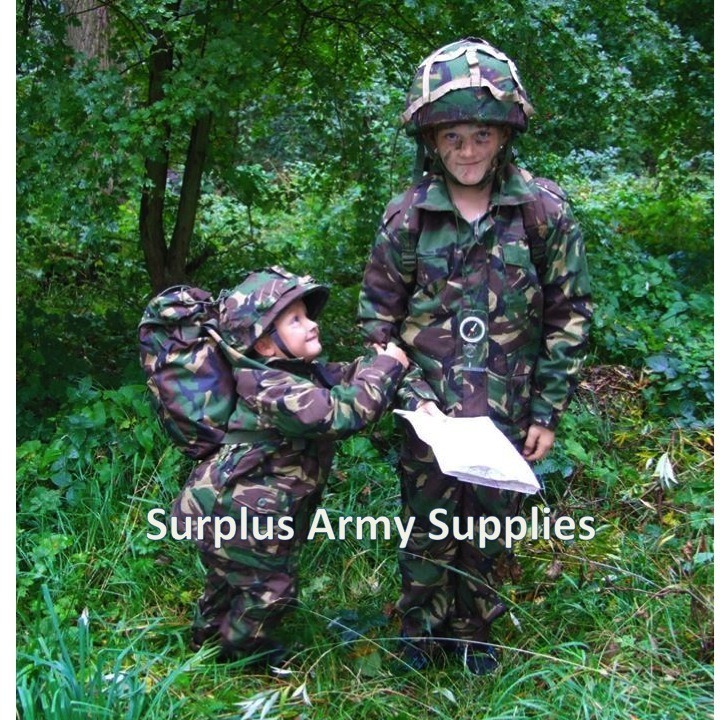 29091712891763763590