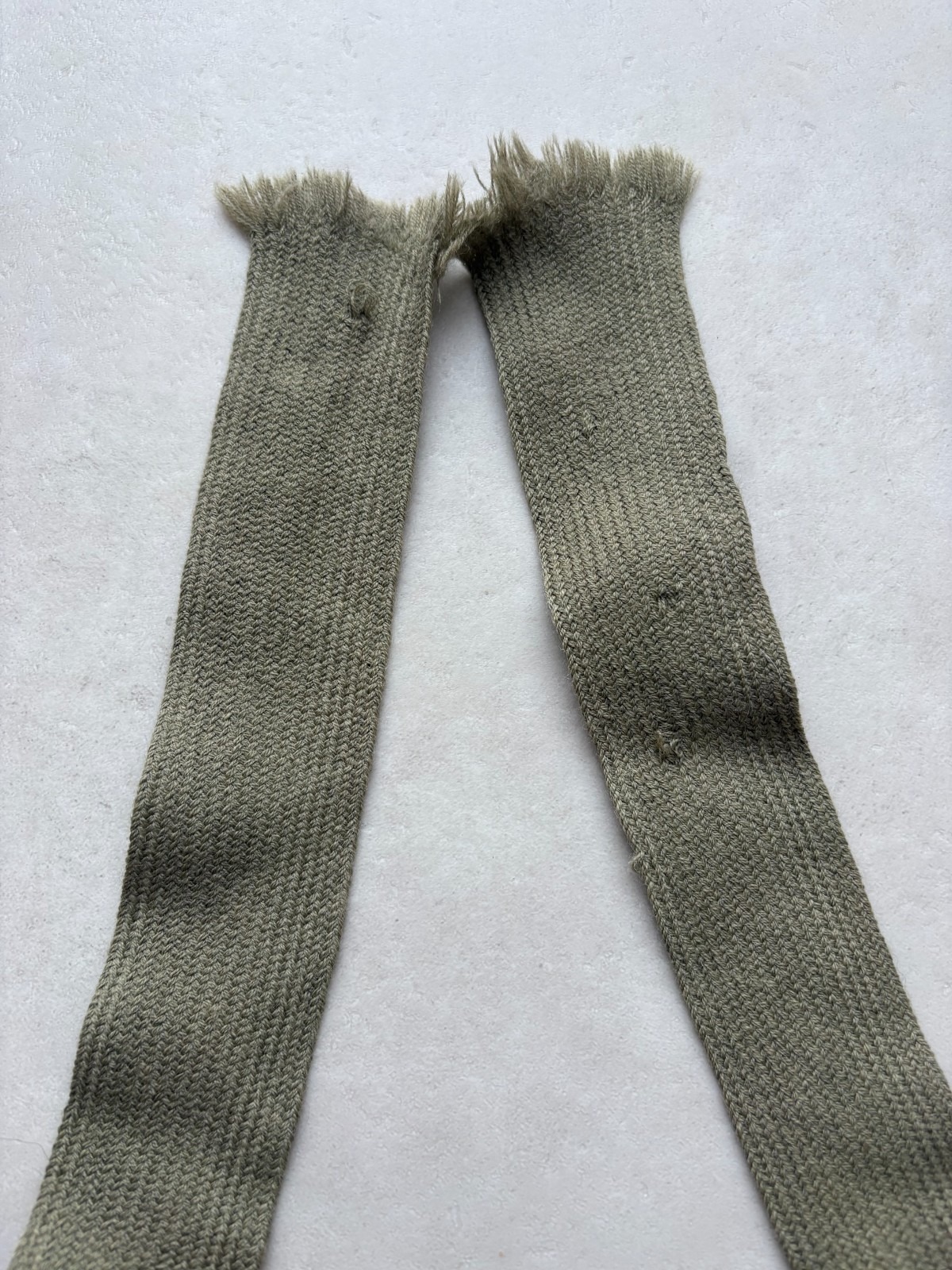 13939982461762437856