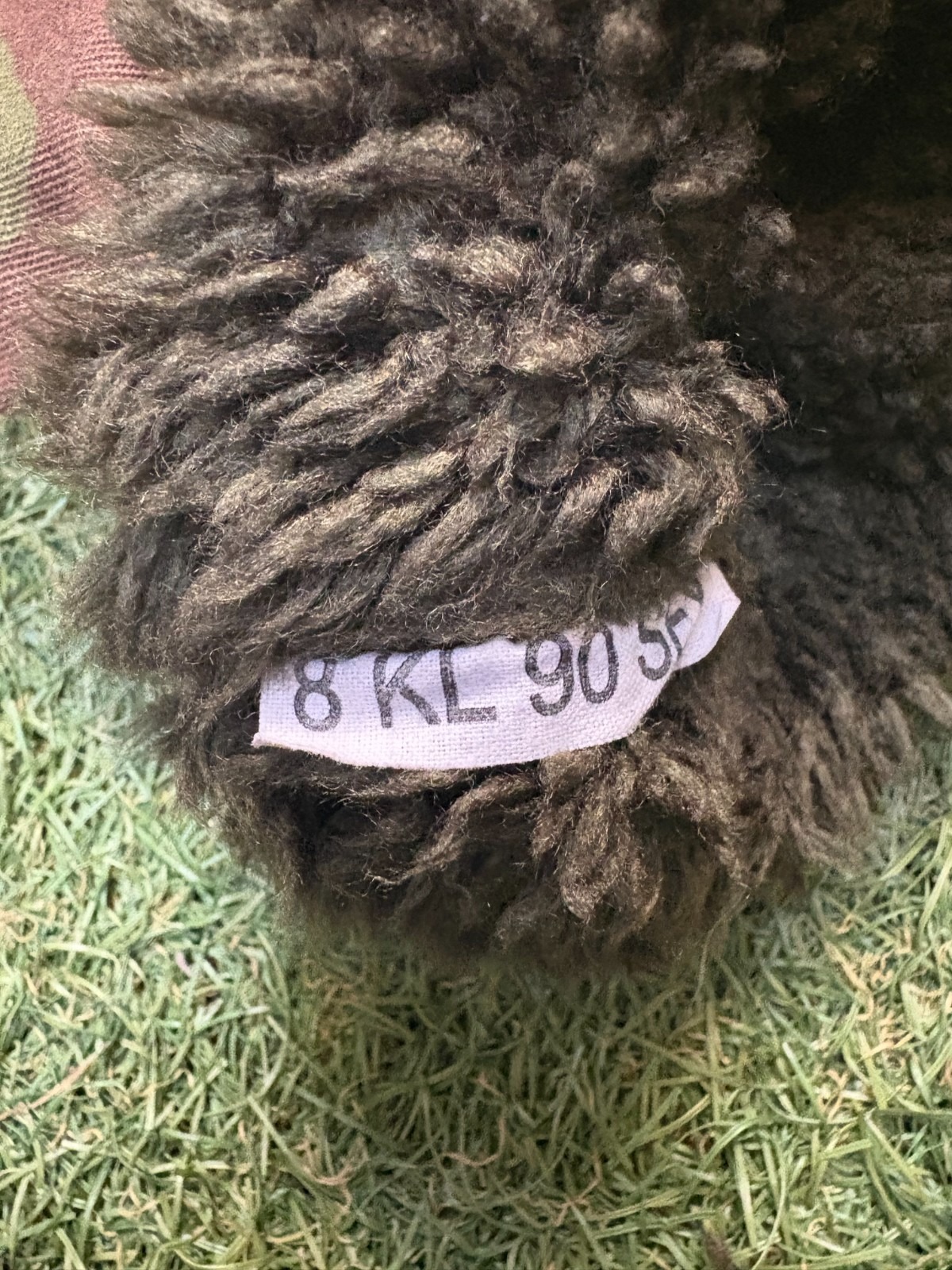 16738876061766576126