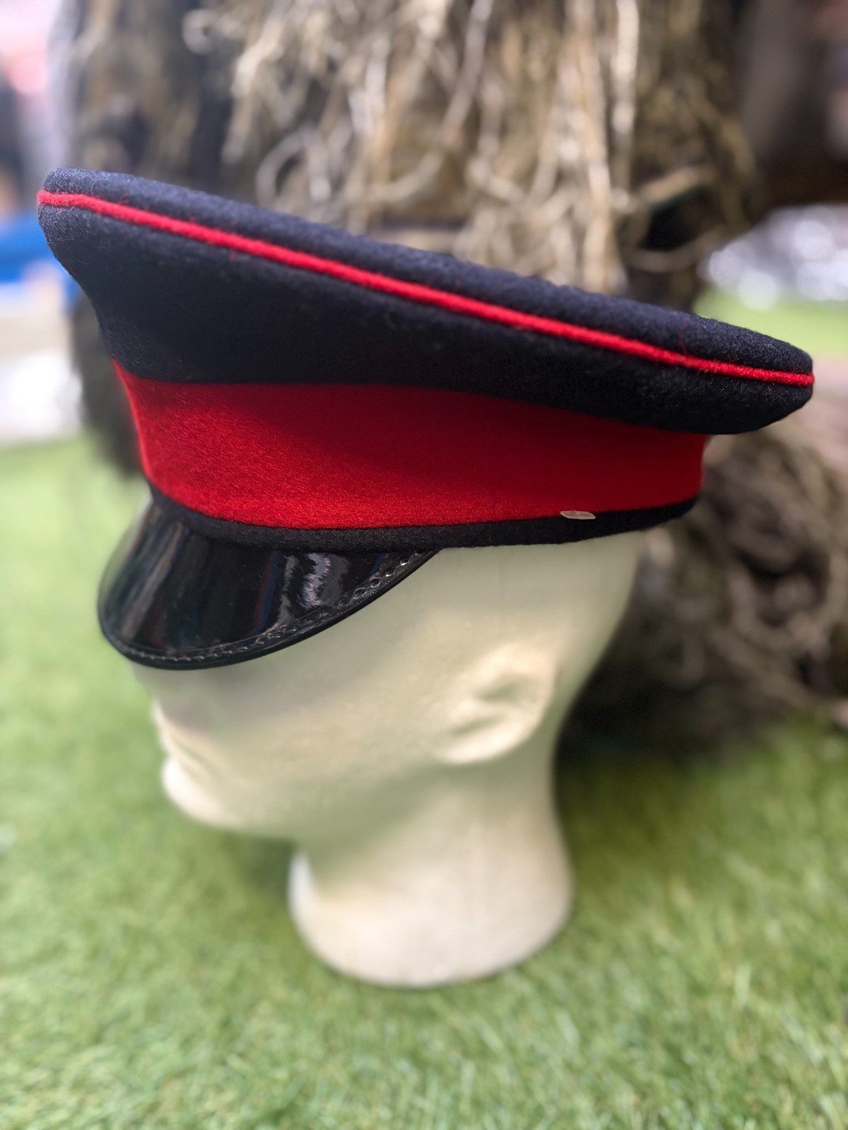 34186168231764771085