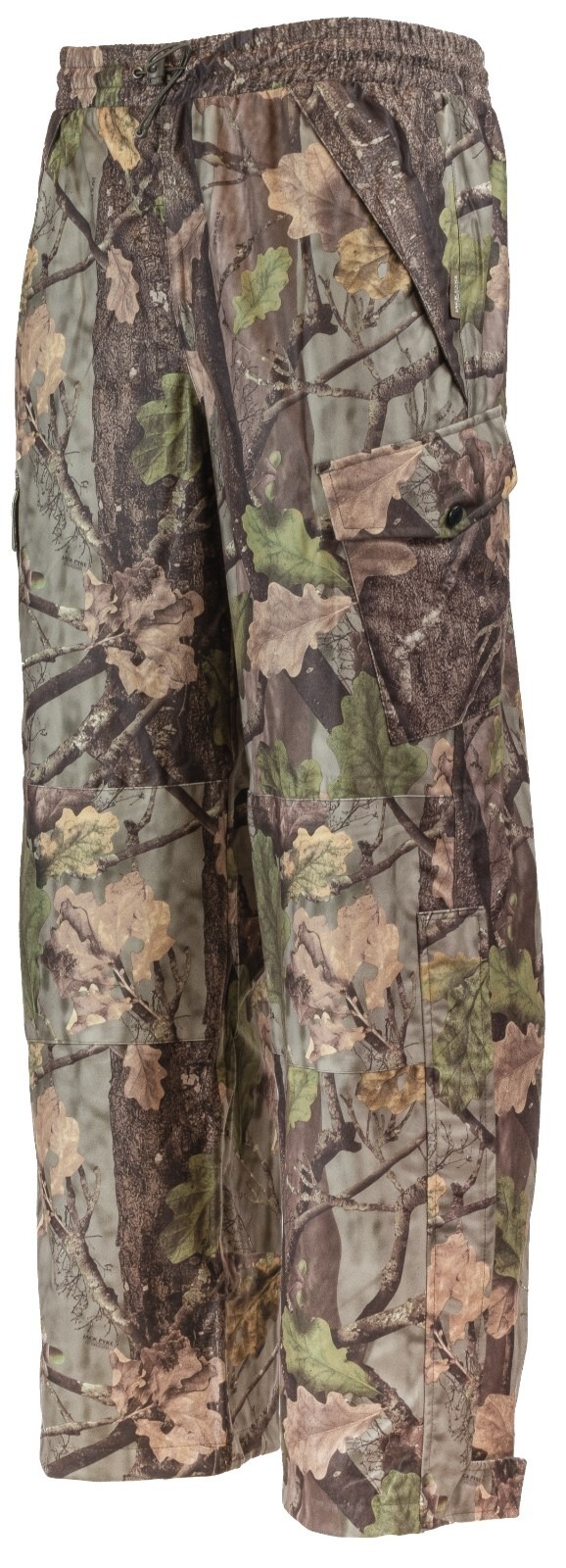 40118293791764678306 40118293791764678306