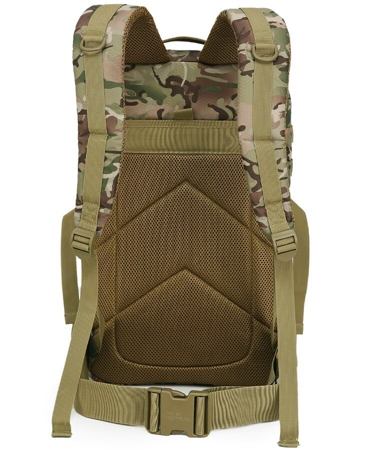 16086144221768760217