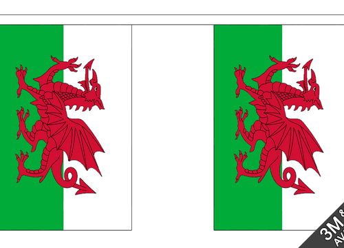 Wales Fabric BUNTING 30 Flags 18m Flag Welsh Dragon Football Party Decorations