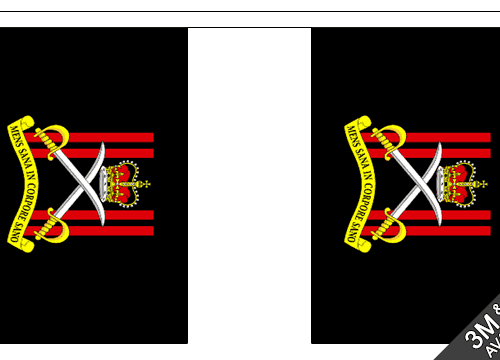 British Army Physical Training Corps BUNTING 3m 9m PTI Military Decor