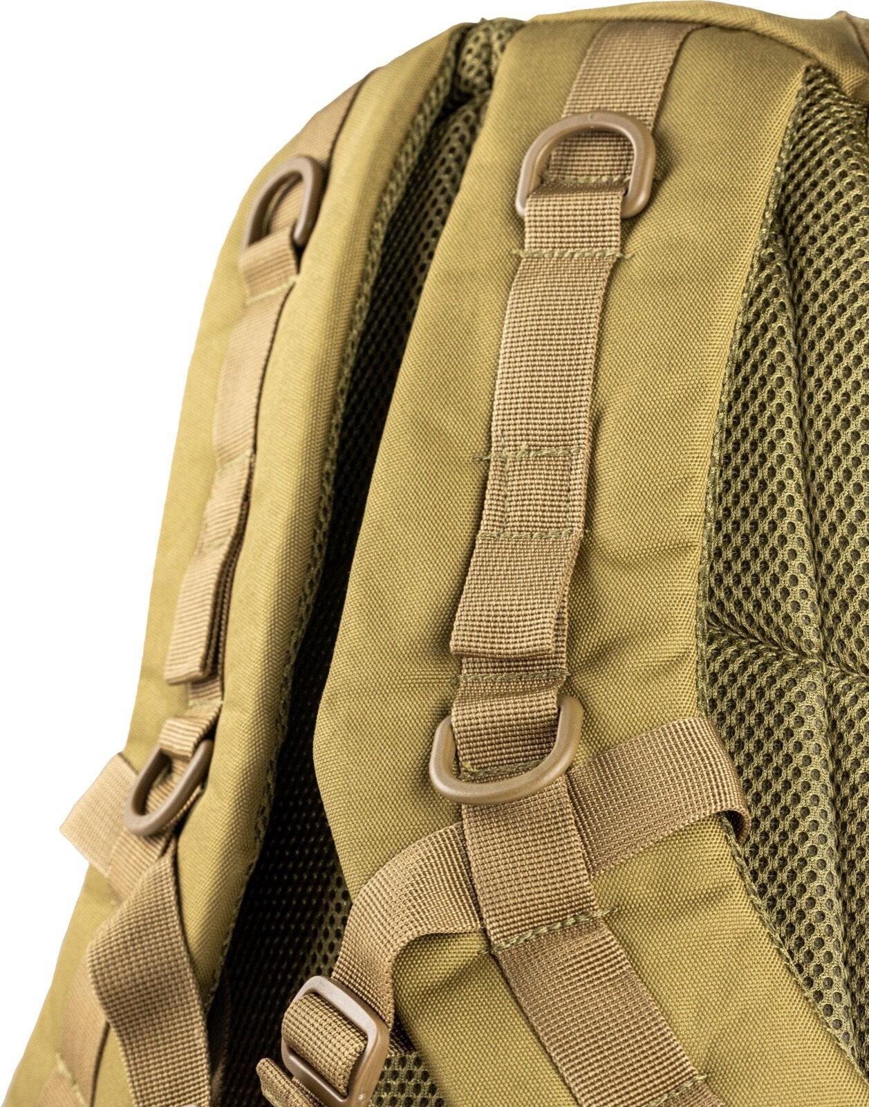 14170565391771597423