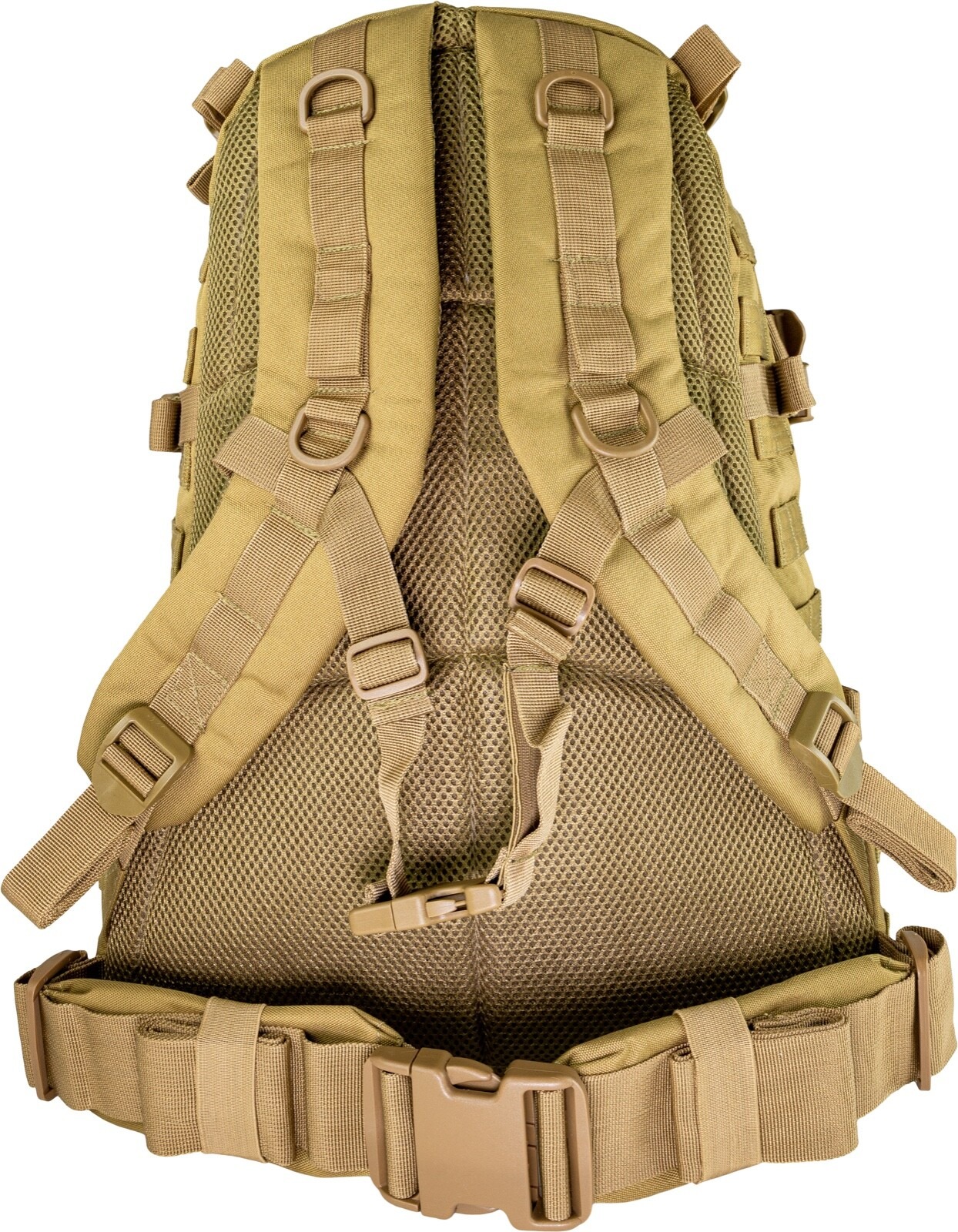 12794013171771597435