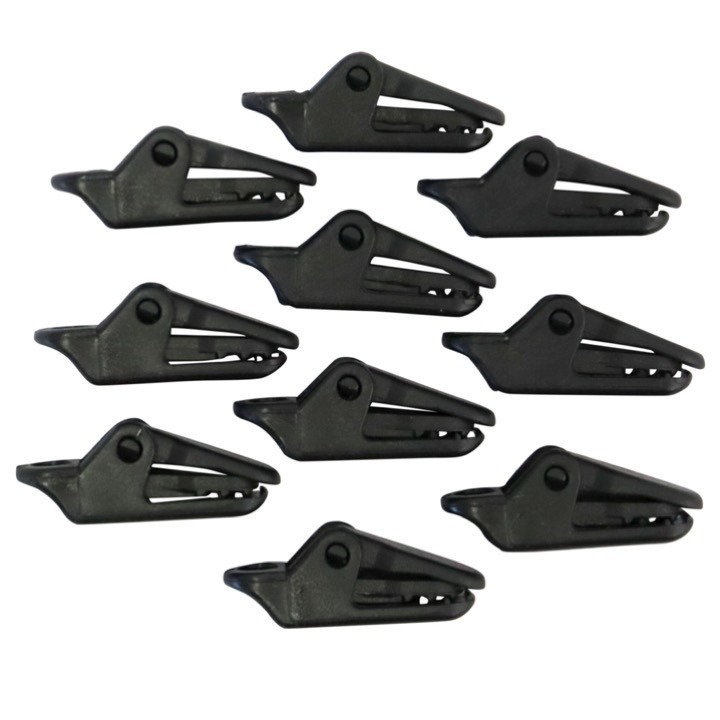 33639518881768299599