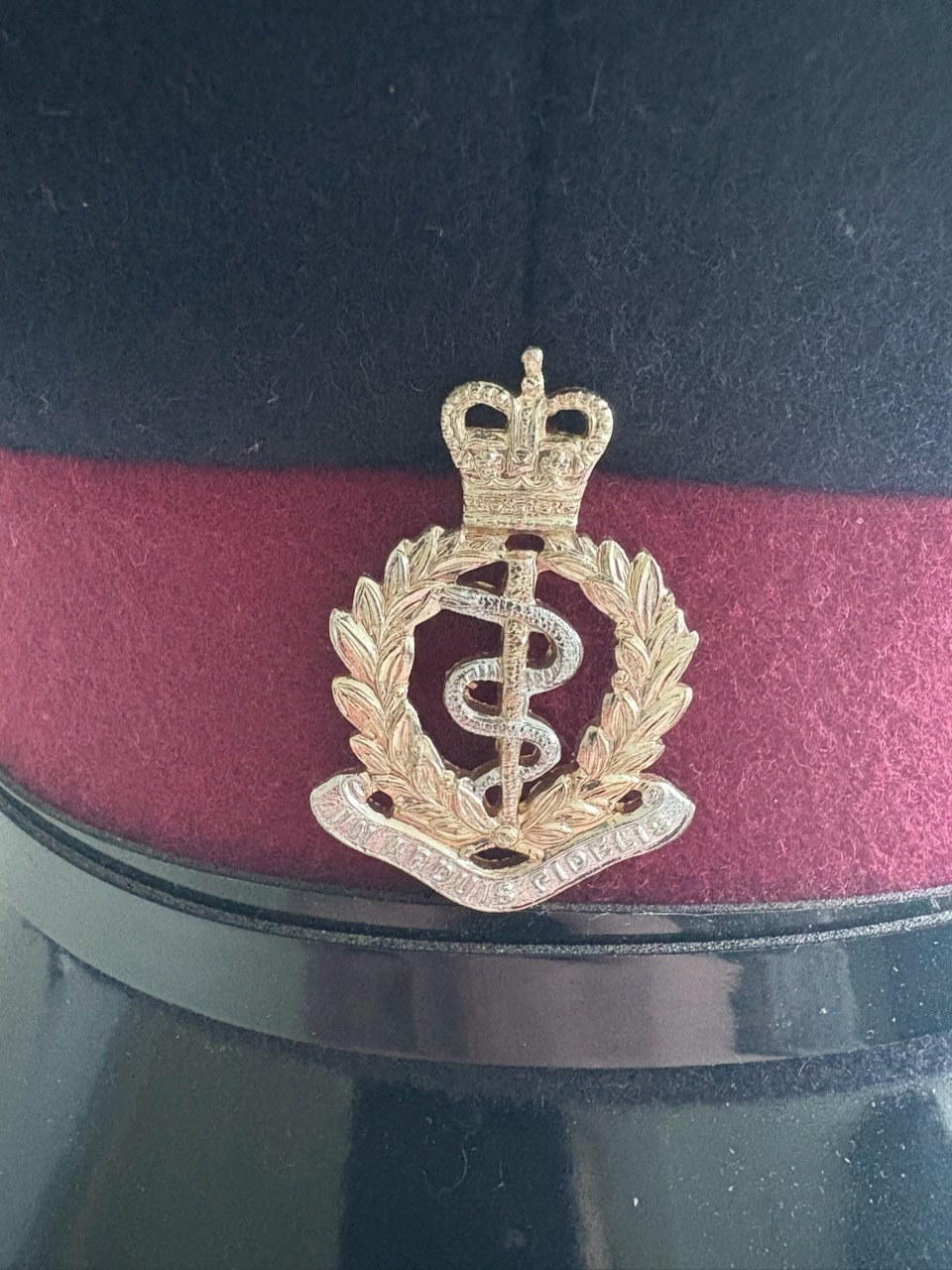 31345971141772621352