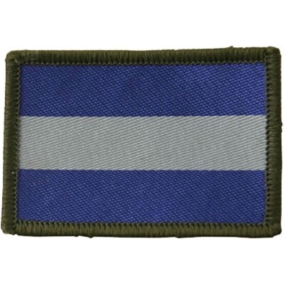BRITISH ARMY AIR CORPS TACTICAL RECOGNITION FLASH BADGE AAC INSIGNIA