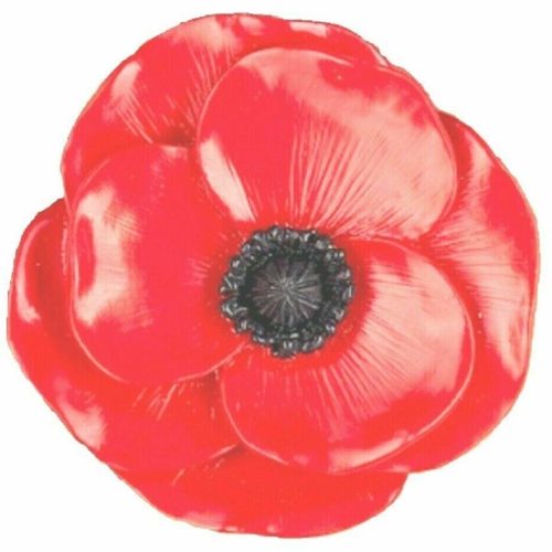 POPPY FRIDGE MAGNET HANDMADE RESIN GIFT ARMY REMEMBRANCE WW1 WW2 LEST WE FORGET