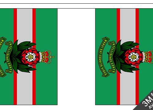 British Military Fabric BUNTING Flags Intelligence Corps 30 FLAGS 9m Decor Army