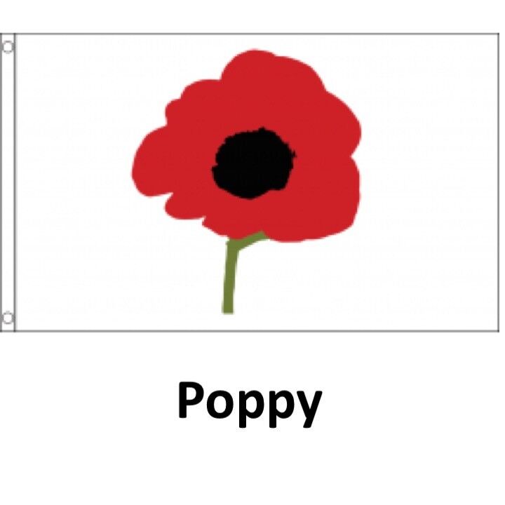 Variation-of-5FT-X-3FT-MILITARY-FLAG-BRITISH-ARMY-REGIMENTS-RAF-MARINES-PARA-ENGINEERS-GURKHA-225412152514-4897