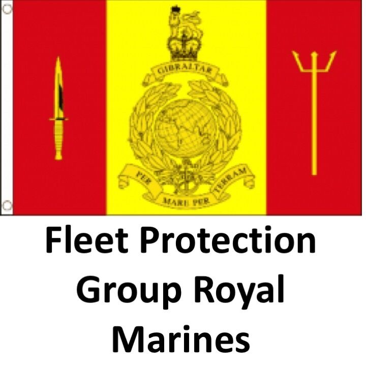 Variation-of-5FT-X-3FT-MILITARY-FLAG-BRITISH-ARMY-REGIMENTS-RAF-MARINES-PARA-ENGINEERS-GURKHA-225412152514-52d0