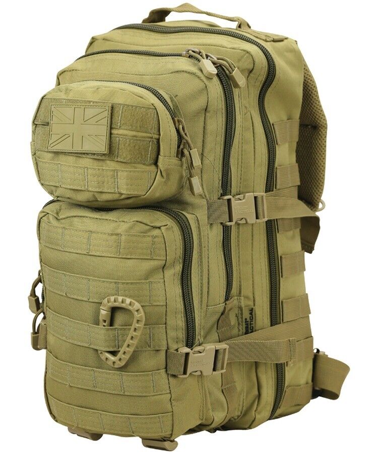 Variation-of-28L-Molle-Assault-Pack-Army-Cadet-Rucksack-3-Tier-Daysack-Bag-MTP-SAS-BLACK-CAMO-233451503909-e40a